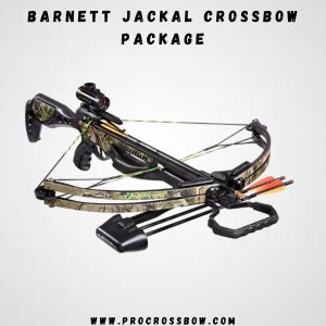 Barnet Jackal - Best for Beginners 