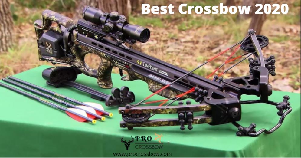 Top 8 Best Crossbow 2020 Reviews & Buying Guide