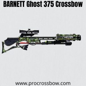 Barnett Ghost 375 - best budget