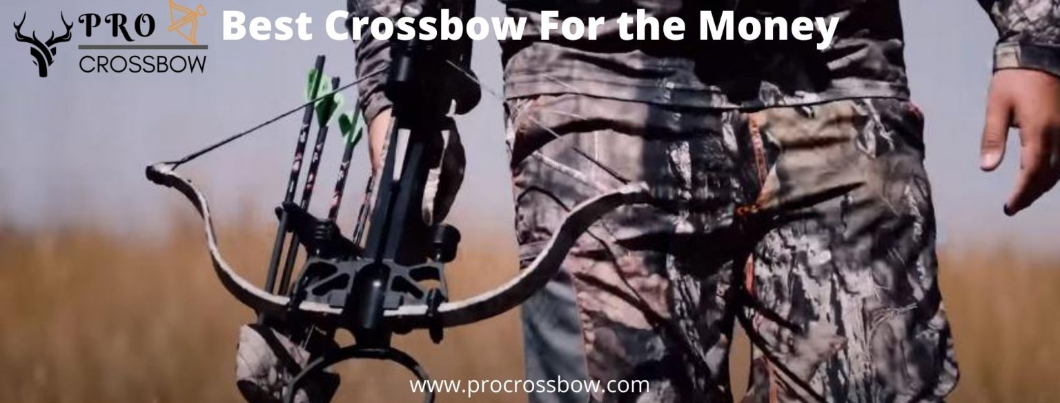 Best Crossbow For The Money - Personally Tested & Reviewed