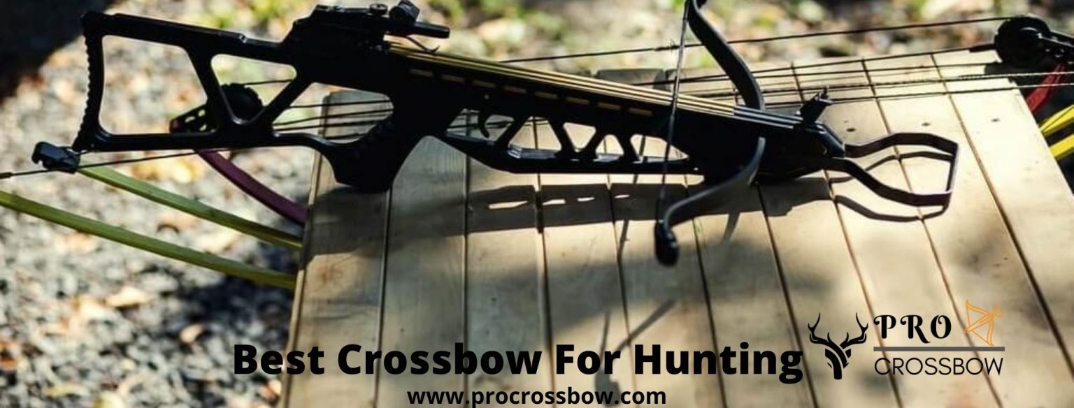 The 9 Best Crossbows For Deer HuntingReviews 2024