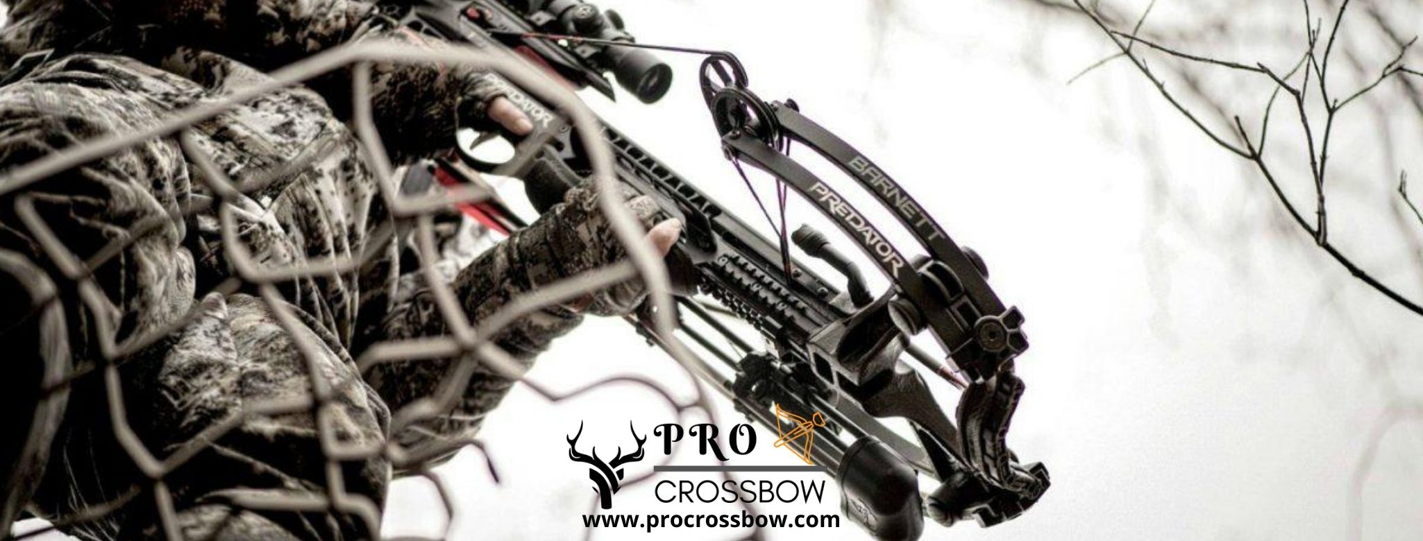 best crossbow for black bear hunting