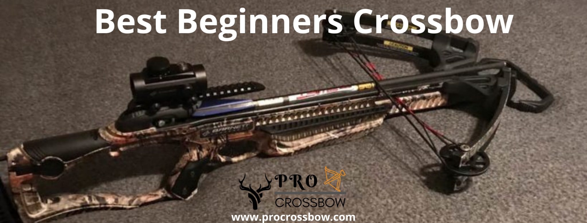 best crossbow for beginners 2021