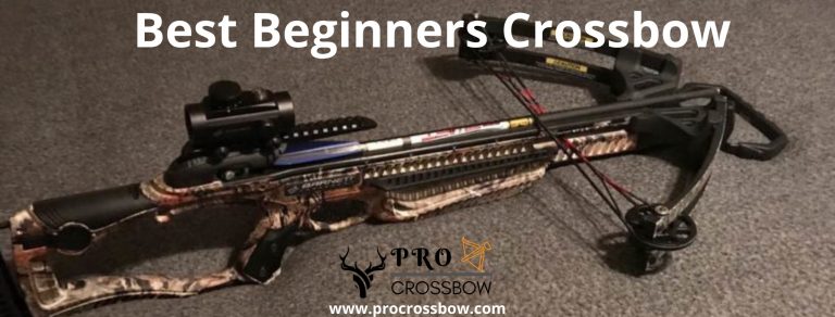 10 Best Beginners Crossbow 2023 Reviews For Youth Crossbow 8686