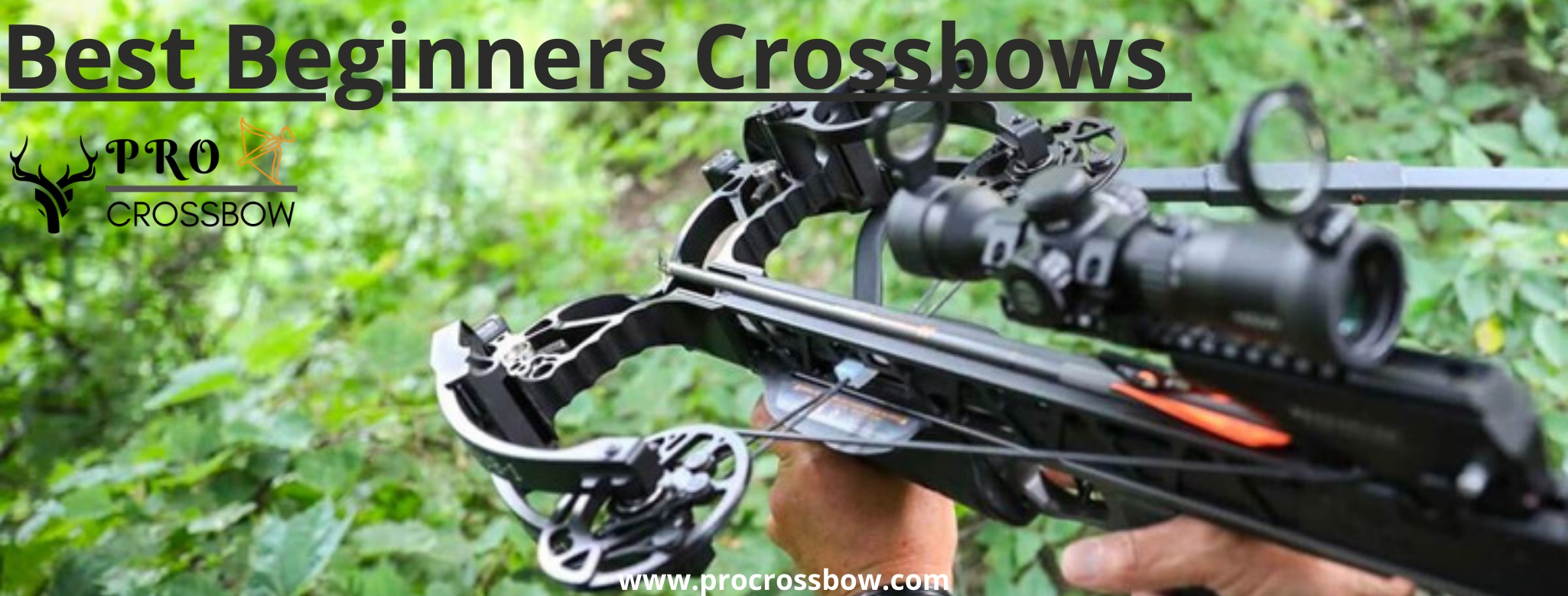 best crossbow for beginners