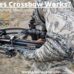 How Does Crossbow Works? Crossbow Working Mechanism | Procrossbow.com