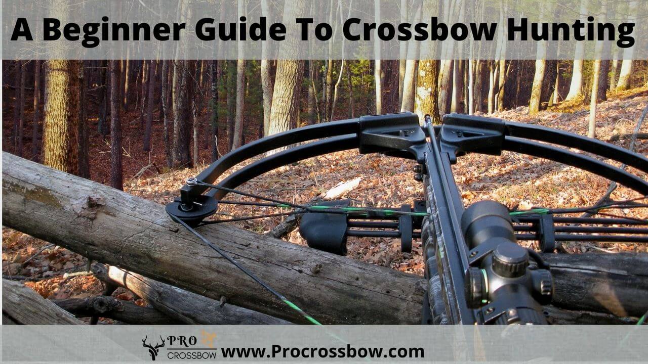 A Beginner Guide To Crossbow Hunting