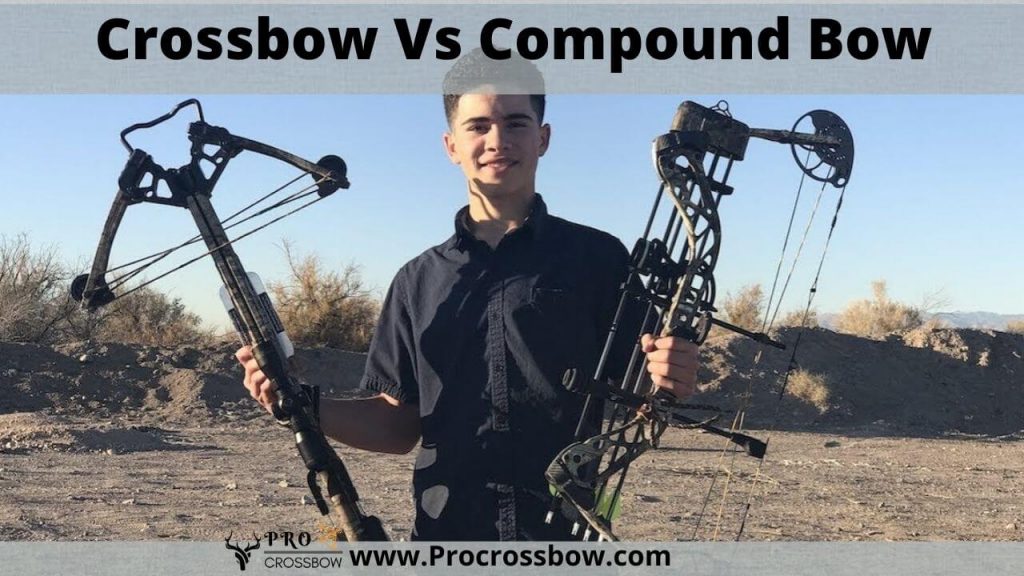 Crossbow Vs Compound Bow Which Is Best For Professional Hunters