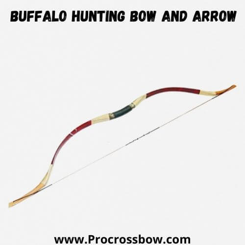 Buffalo Hunting Bow and Arrow