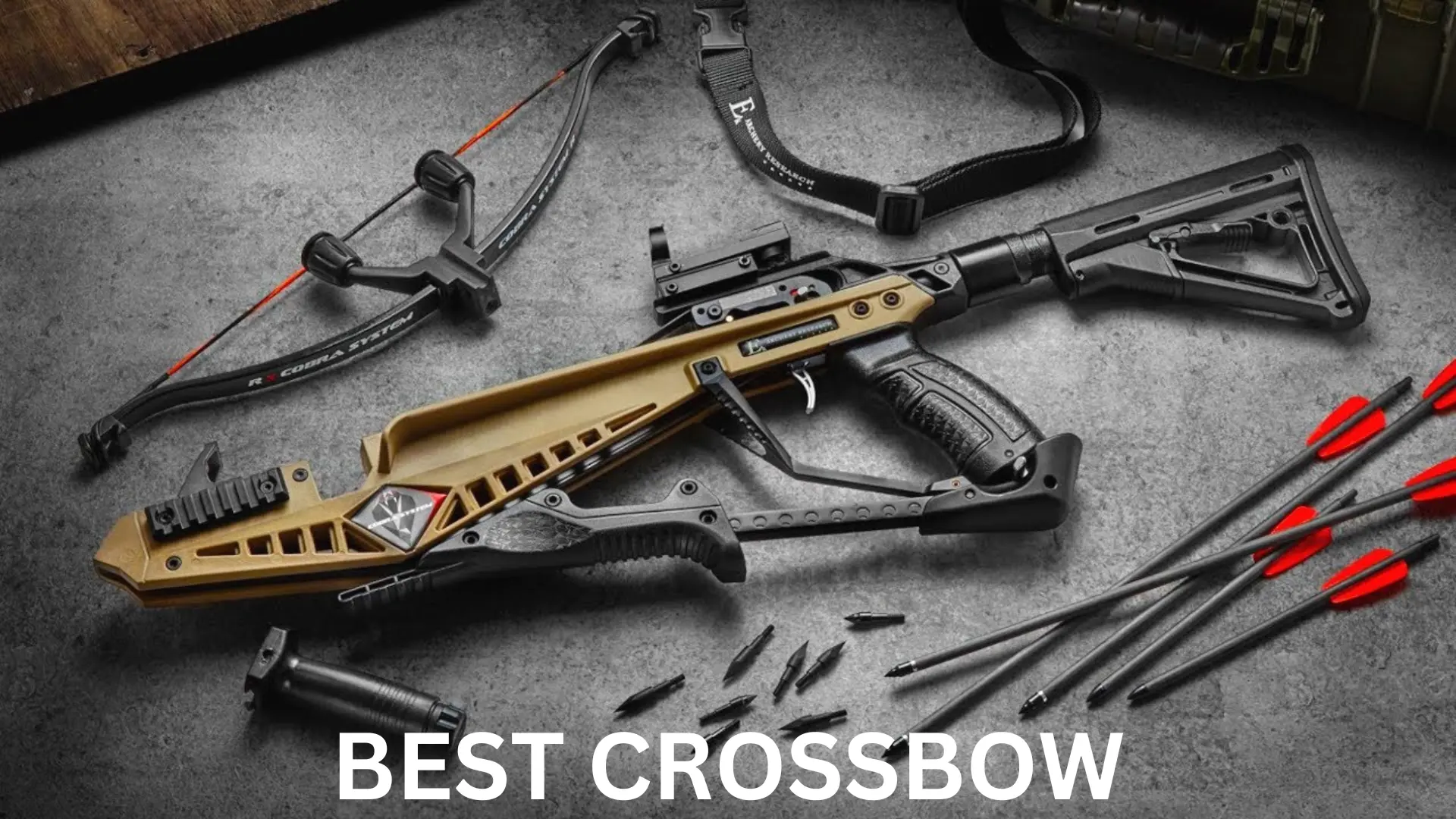 Best Crossbow